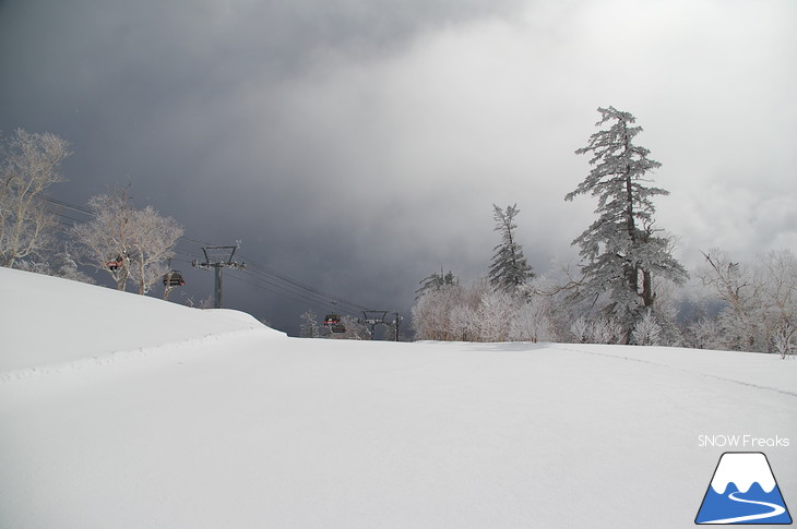 札幌国際スキー場 Welcome back POWDER SNOW !! ～パウダースノー復活～